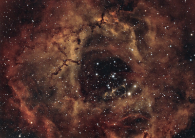 The Rosette Nebula