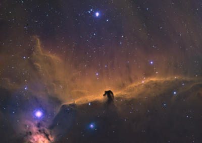 The Horsehead Nebula (Barnard 33)