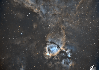 The Fish Head Nebula (IC 1795)
