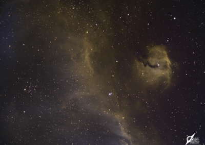 The Seagull Nebula (IC 2177)