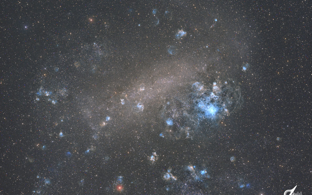 The Large Magellanic Cloud