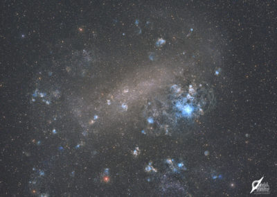 The Large Magellanic Cloud