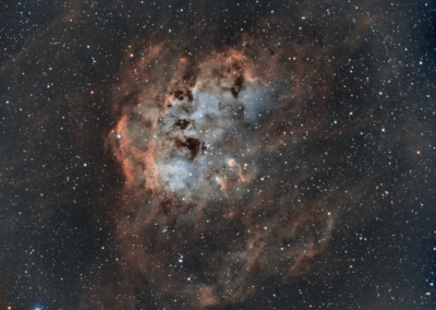 The Tadpole Nebula (IC 410)
