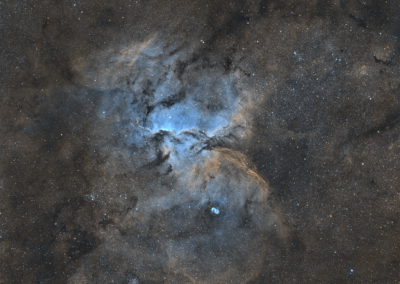 The Fighting Dragons of Ara (NGC 6188)