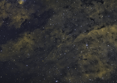 Cygnus Mosiac