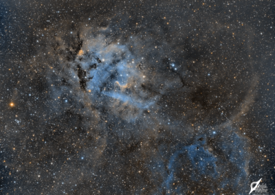 The Lion Nebula (Sh2-132)